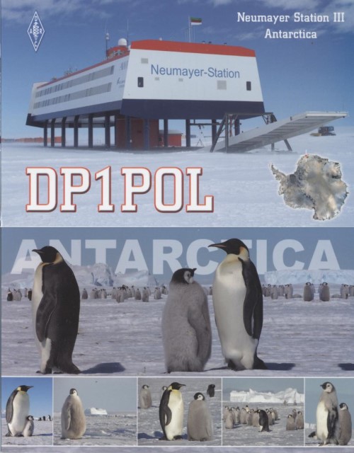 DP1POL DP1POL