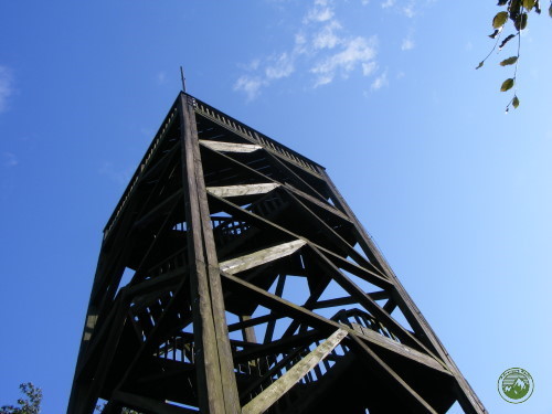 The VHF-Tower on NS-177