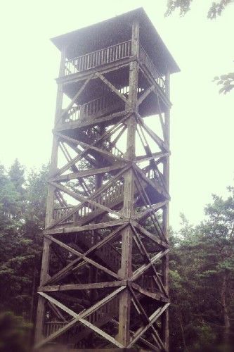 Steigenberg Tower