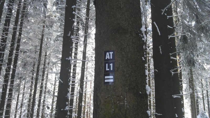 Der Weg L1 führt zur Bergkuppe