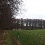 MP-1 Antenne am Feld- und Waldesrand.