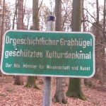 Bronzezeitliche Grabhügel am Gattberg