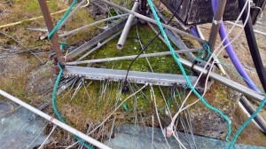 In the Antenna Field