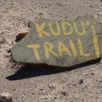 Kudu Trail on Büllsport Guest Farm