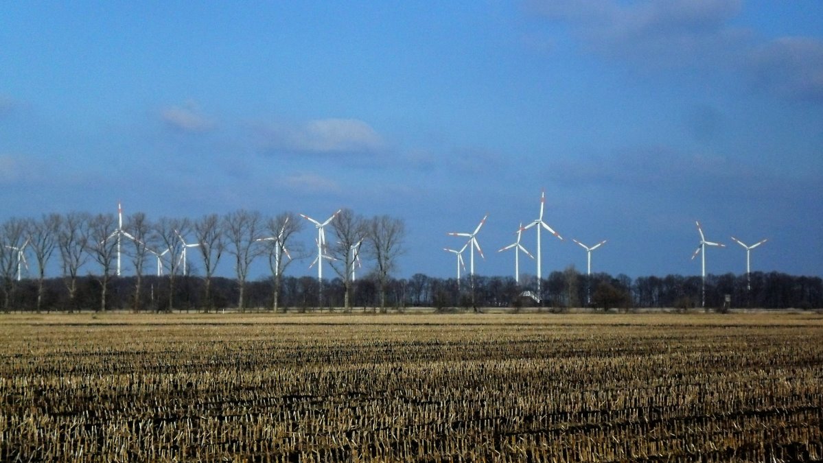 Windmills @ Damme (DLFF-051)