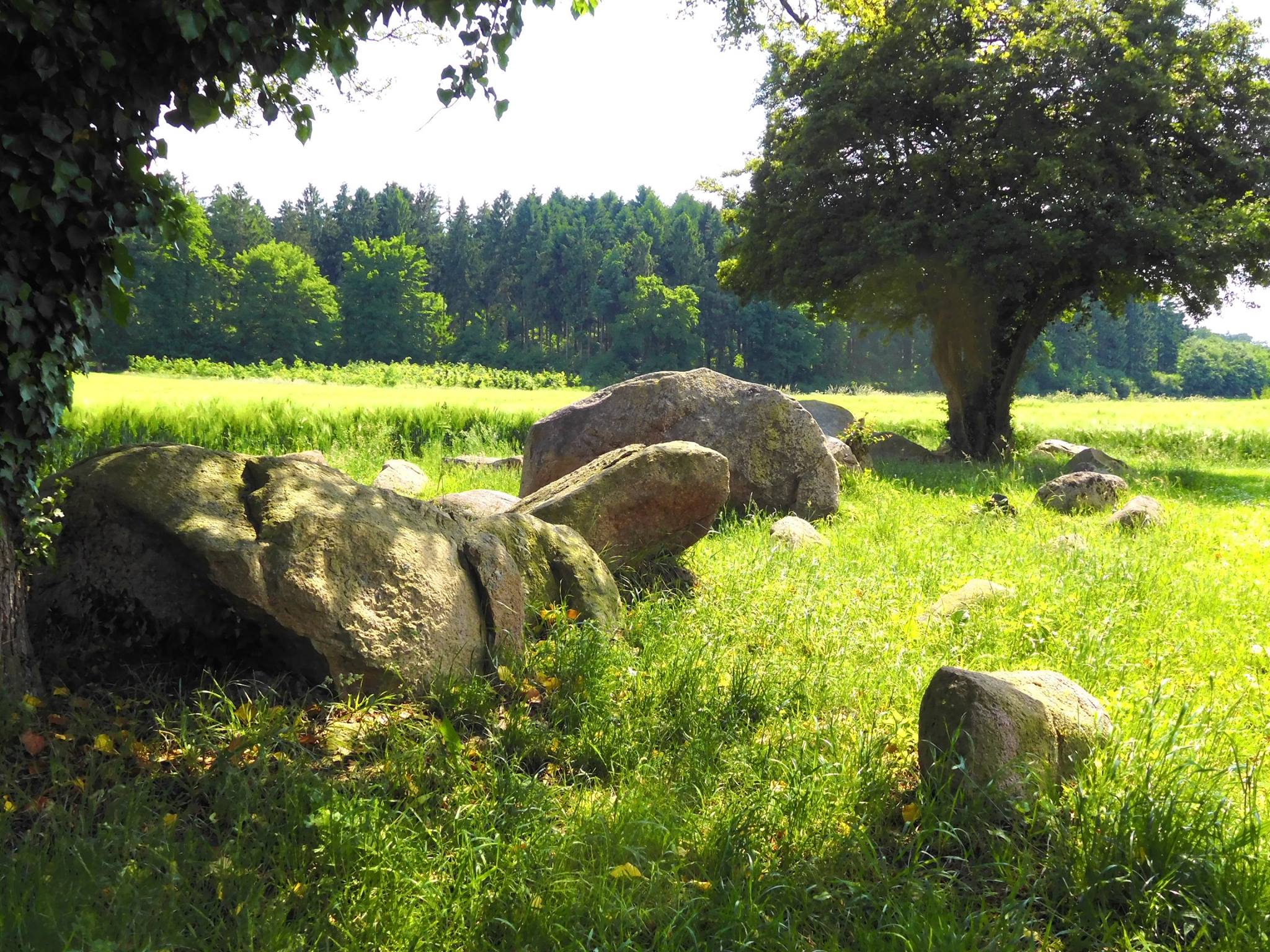 The hunebeds "Östringer Steine" Hunebeds