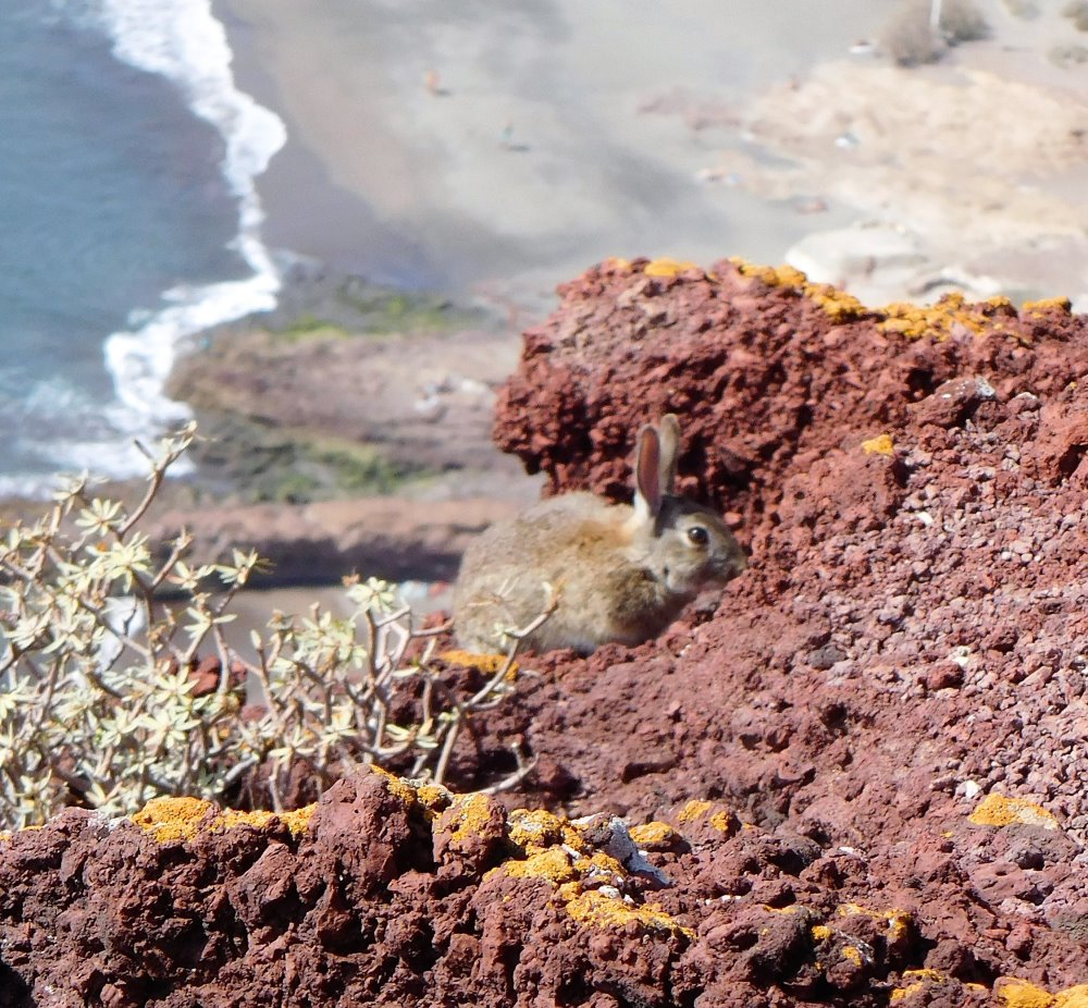 Besuch auf dem Montaña Roja Besuch auf dem Montaña Roja