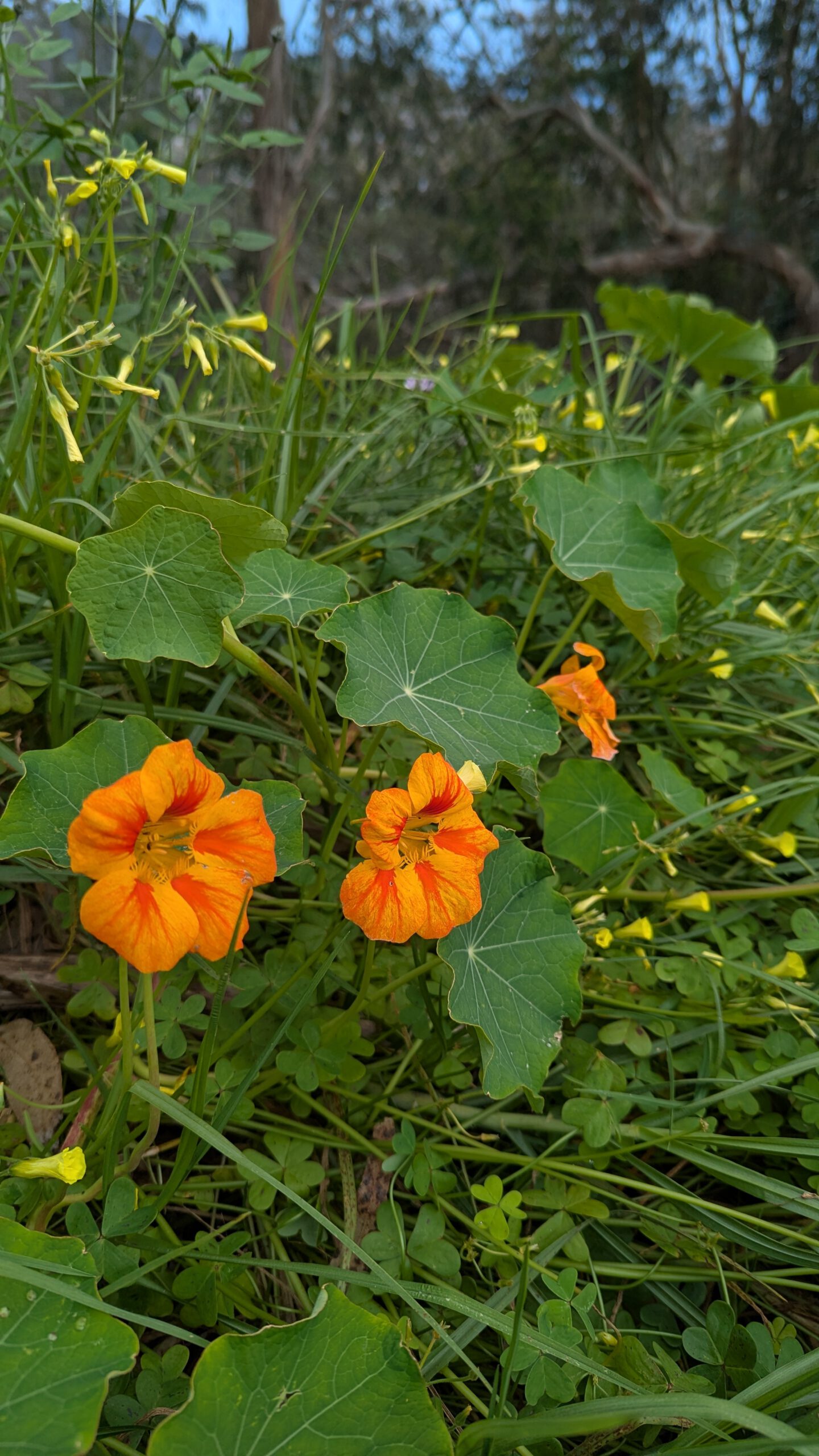 PXL_20250315_152316211