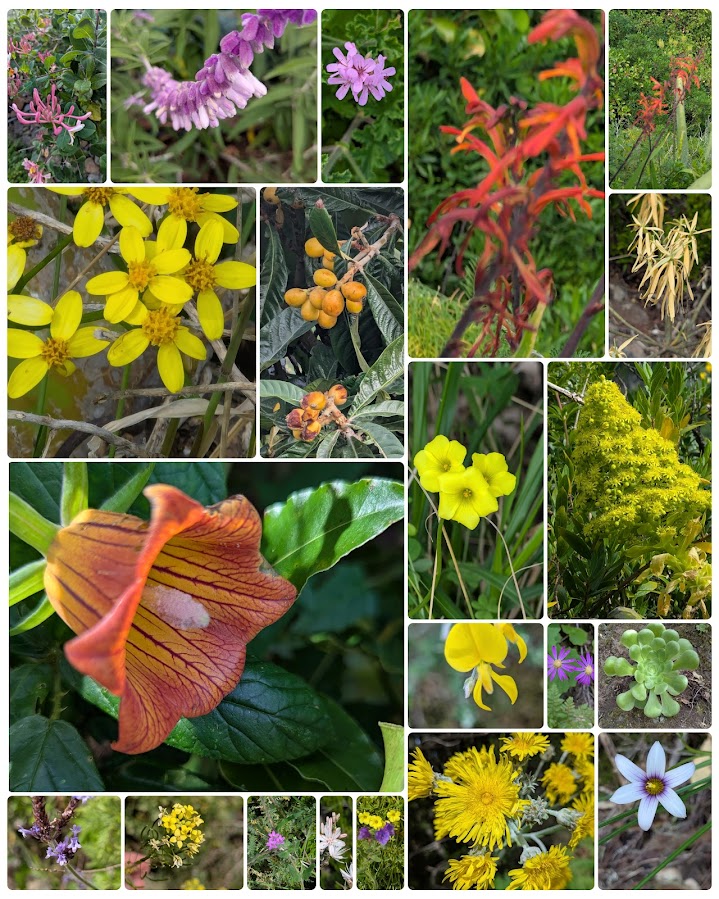 GridArt_20260223_185449628